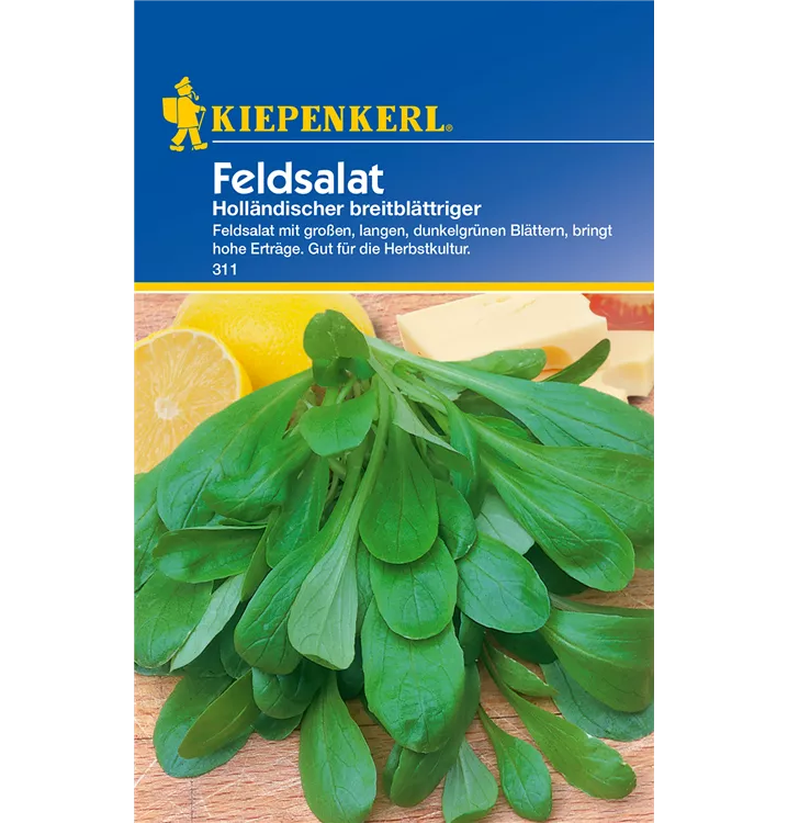 Valerianella locusta 'Holländischer Breitblättriger'