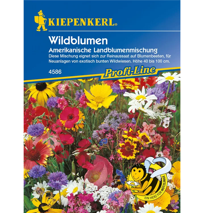 Wildblumen, amerikanische