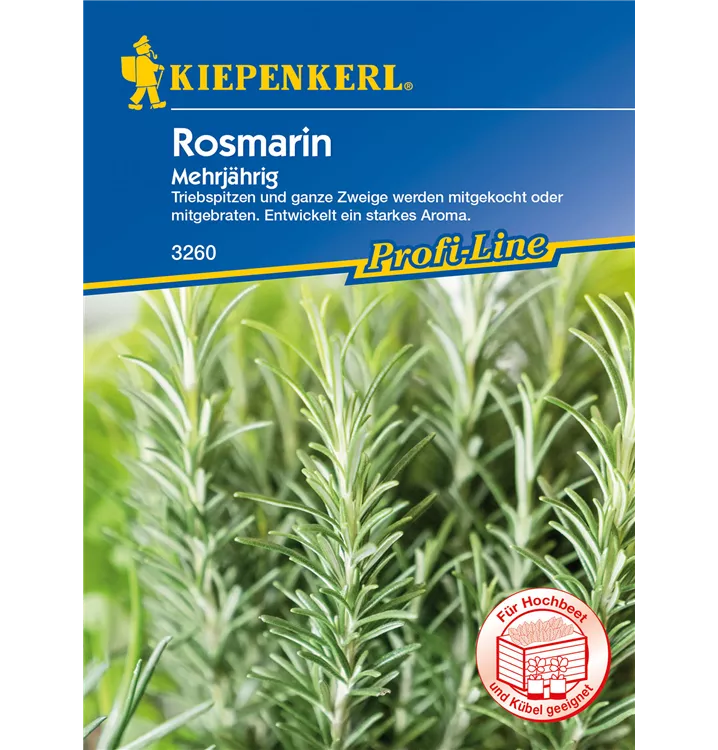 Rosmarinus officinalis