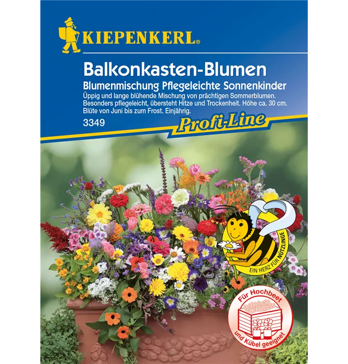 Balkonblumen, einjährig