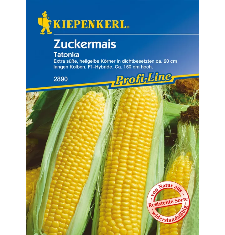 Zea mays var. saccharata 'Tatonka F1'