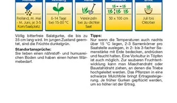 Bildvorschau