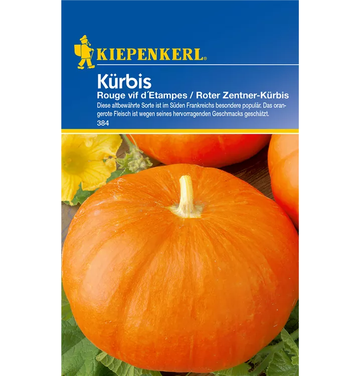 Cucurbita maxima 'Rouge vif d´Etampes'