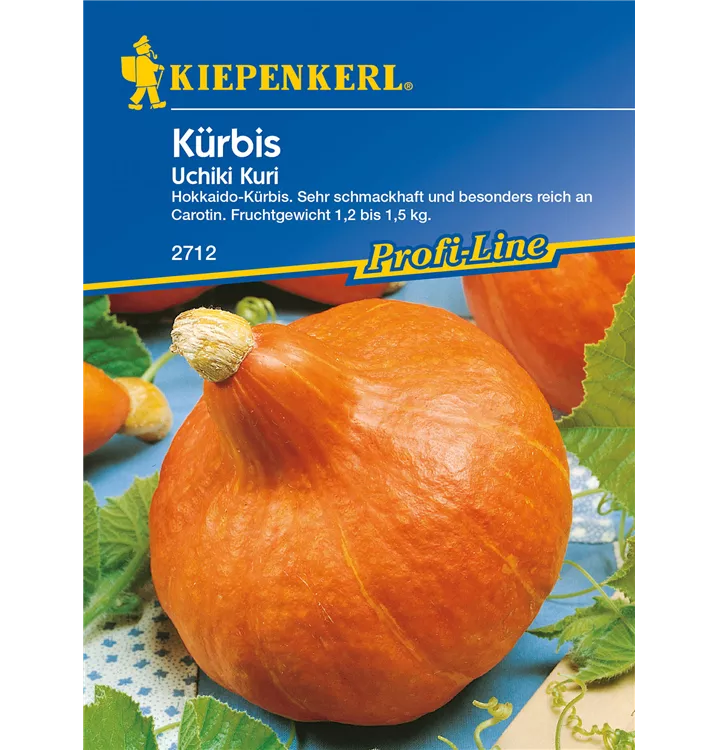 Cucurbita maxima 'Uchiki Kuri'