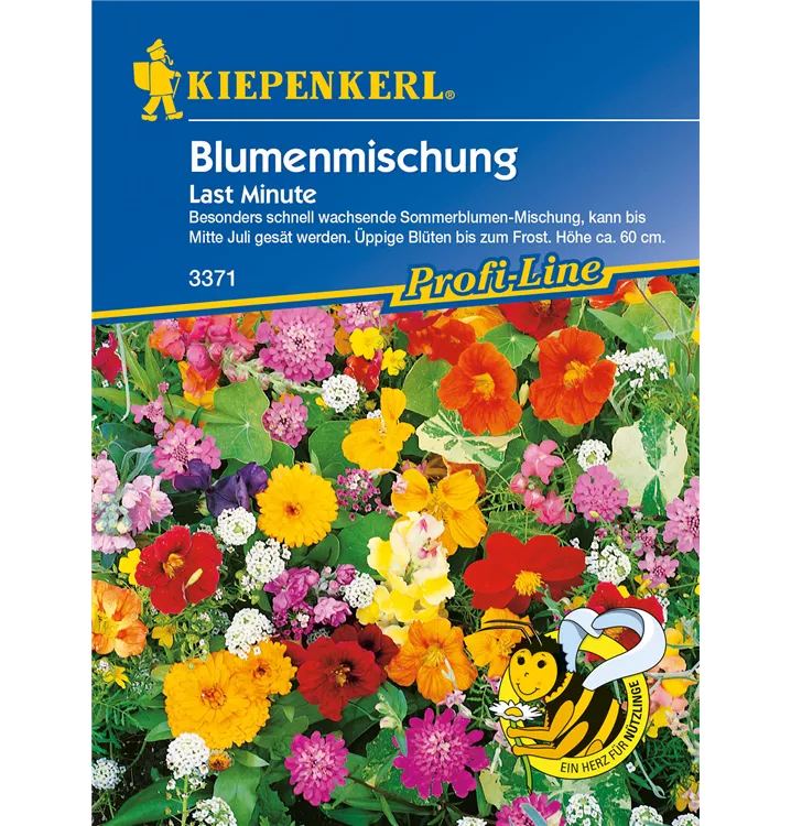 Sommerblumen 'Last Minute'