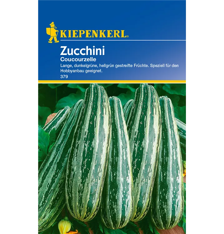 Cucurbita pepo subsp. pepo convar. giromontiina 'Coucourzelle'