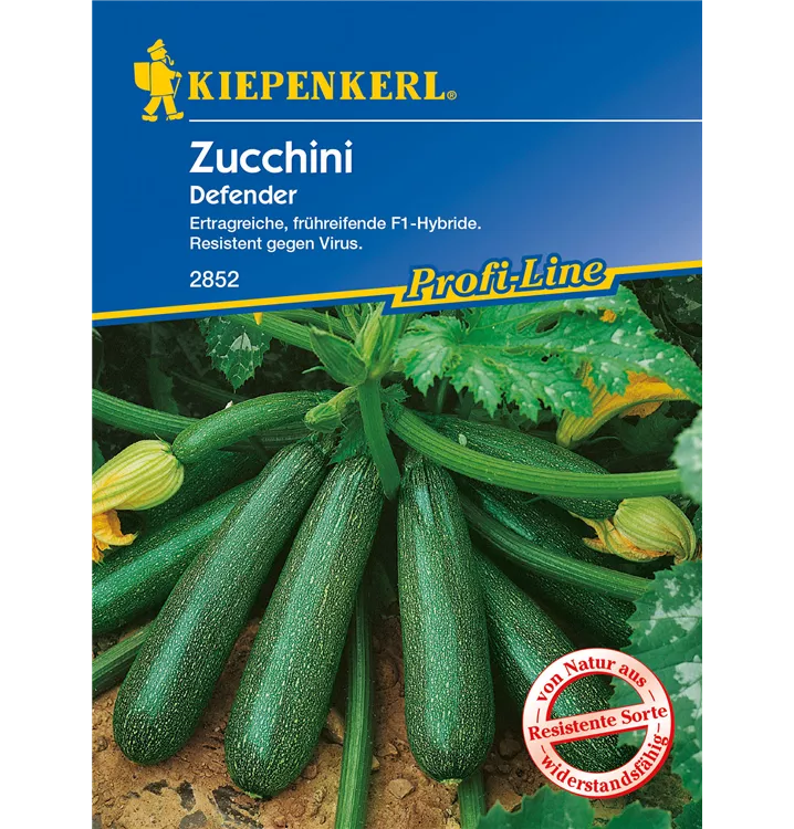 Cucurbita pepo subsp. pepo convar. giromontiina 'Defender F1'