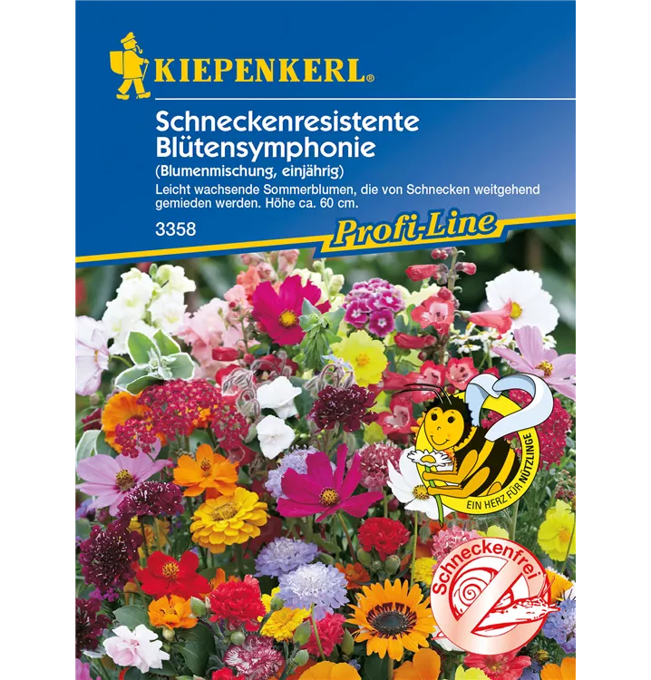 Sommerblumen Schneckenresistent