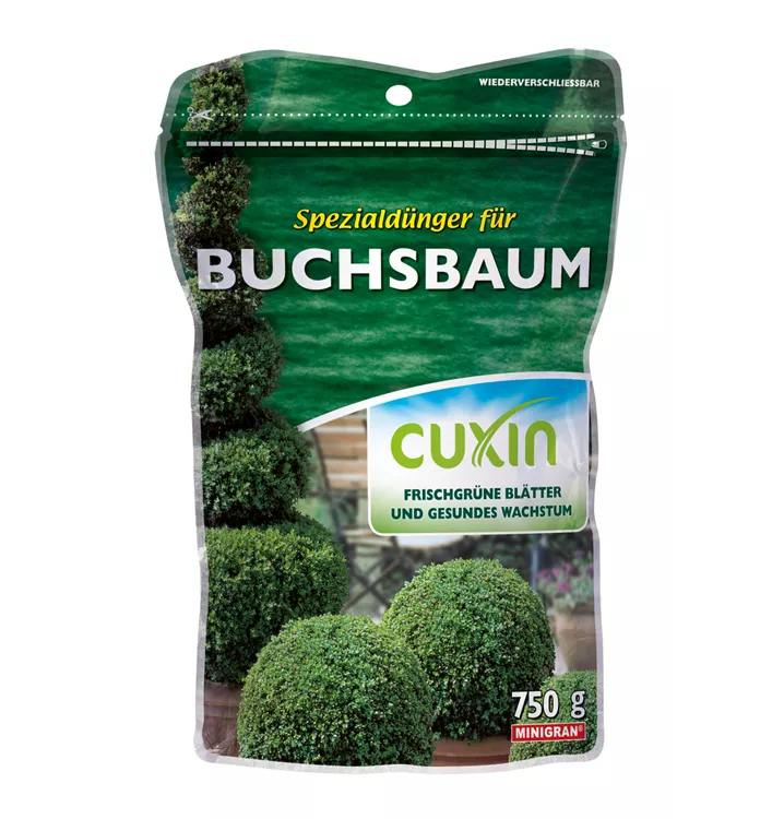 Cuxin WF Buchsbaum