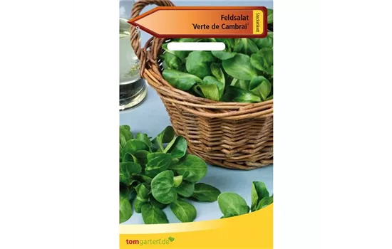 Feldsalat 'Verte de Cambrai'