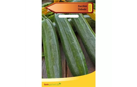 Zucchini 'Zuboda'