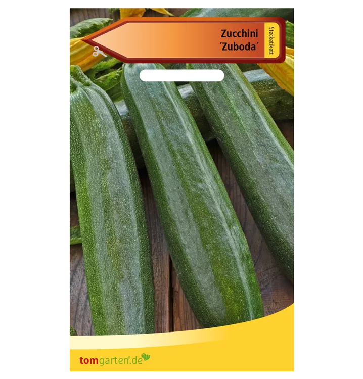 Cucurbita pepo subsp. pepo convar. giromontiina 'Zuboda'