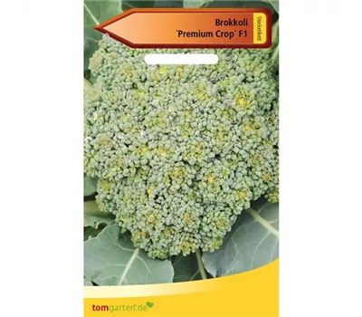 Broccoli 'Premium Crop F1'