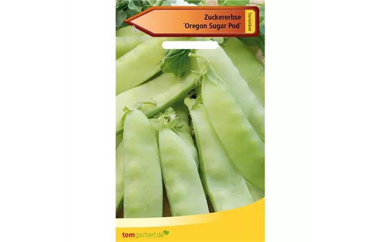 Zuckererbse 'Oregon Sugar Pod'