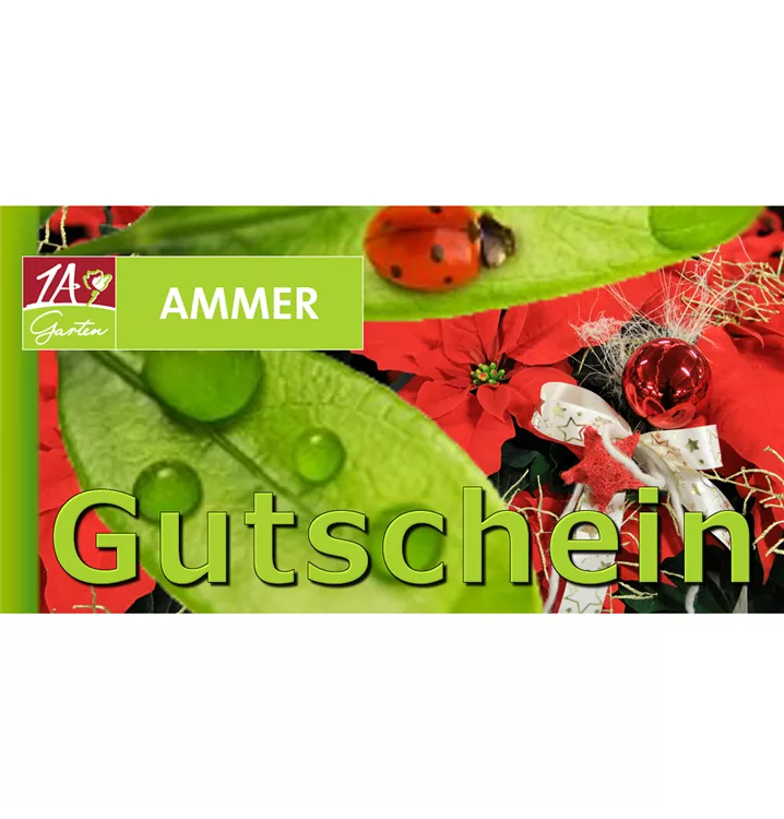 Geschenkgutschein - Motiv: Weihnachten