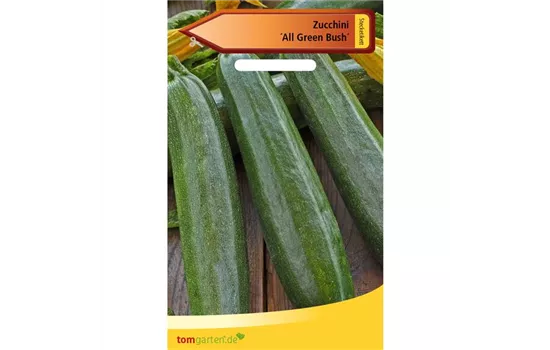 Zucchini 'All Green Bush'