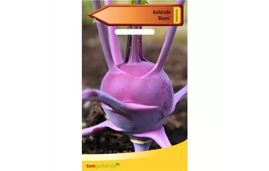 Kohlrabi 'Blaro'