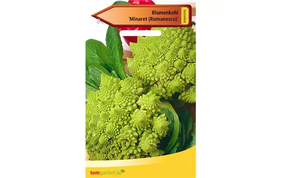 Romanesco-Blumenkohl 'Minaret'