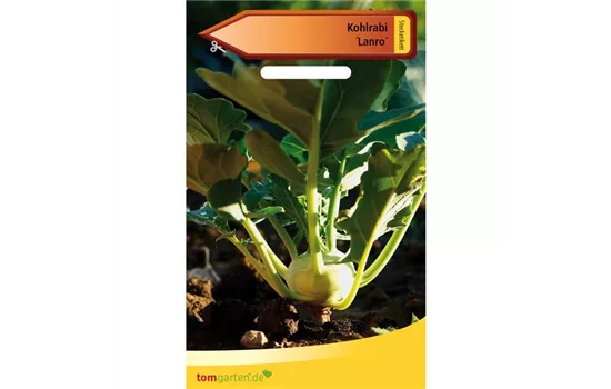 Kohlrabi 'Lanro'