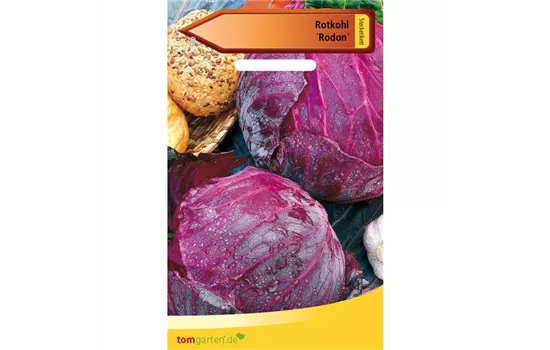 Rotkohl 'Rodon'