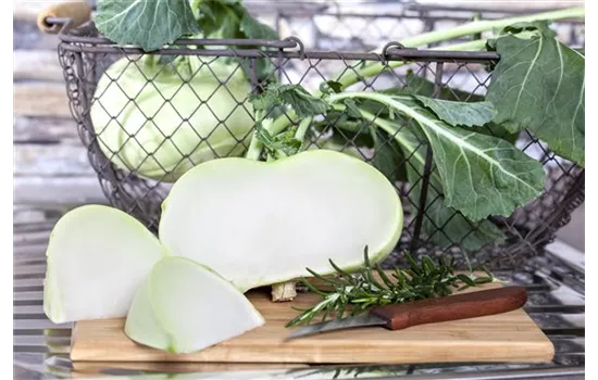 Kohlrabi 'Superschmelz'