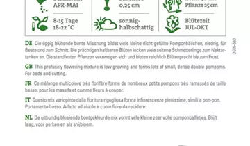 Bildvorschau