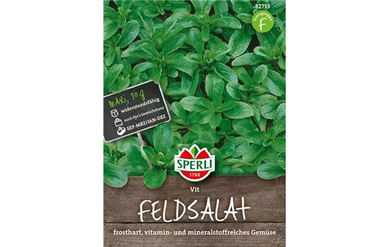 Feldsalat 'Vit'