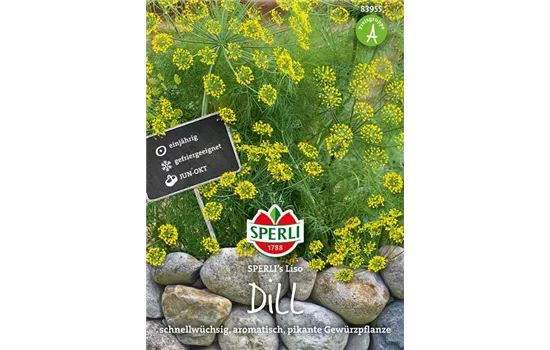 Dill 'Liso'