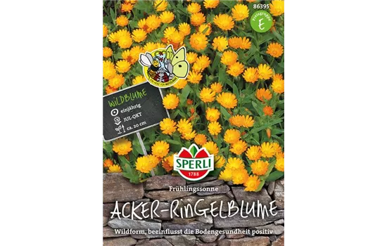 Acker-Ringelblume 'Frühlingssonne'