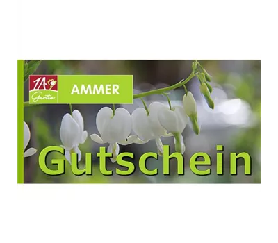 Geschenk Gutschein Dicentra