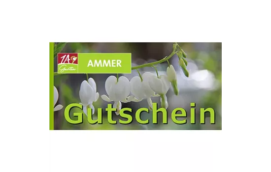 Geschenk Gutschein Dicentra