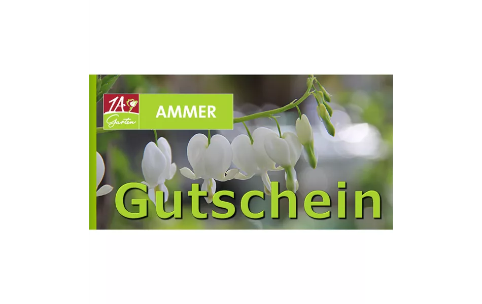 Geschenk Gutschein Dicentra