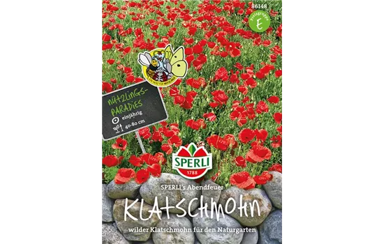 Klatsch-Mohn 'Abendfeuer'