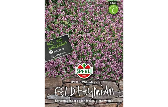 Feldthymian 'Wild Magic'