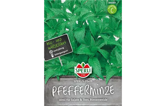 Pfefferminze 'Pfeffi'