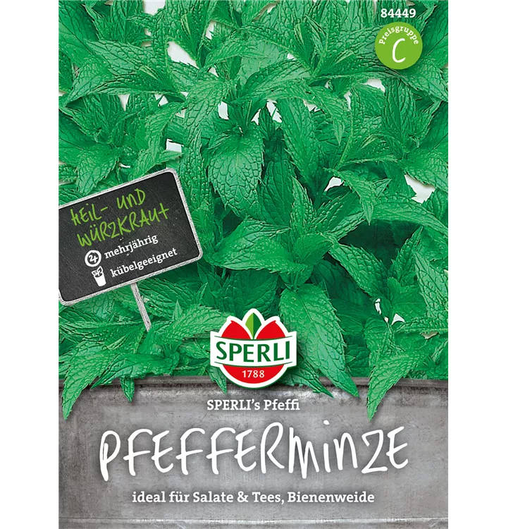 Mentha x piperita 'Pfeffi'