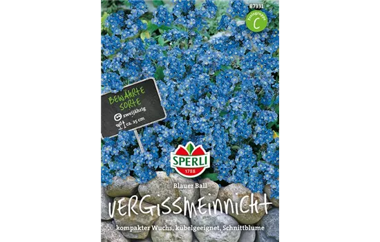 Wald-Vergissmeinnicht 'Blue Ball'