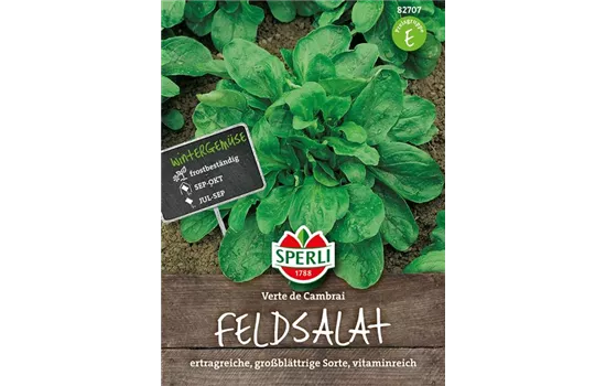 Feldsalat 'Verte de Cambrai'