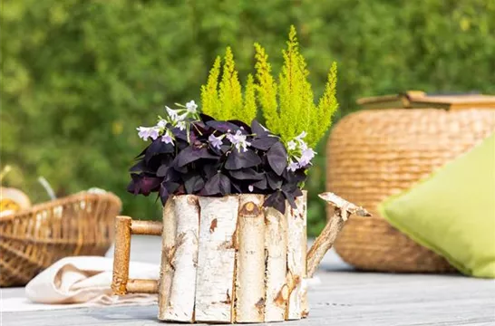 Pflanzgefäß aus Holz mit Bepflanzung