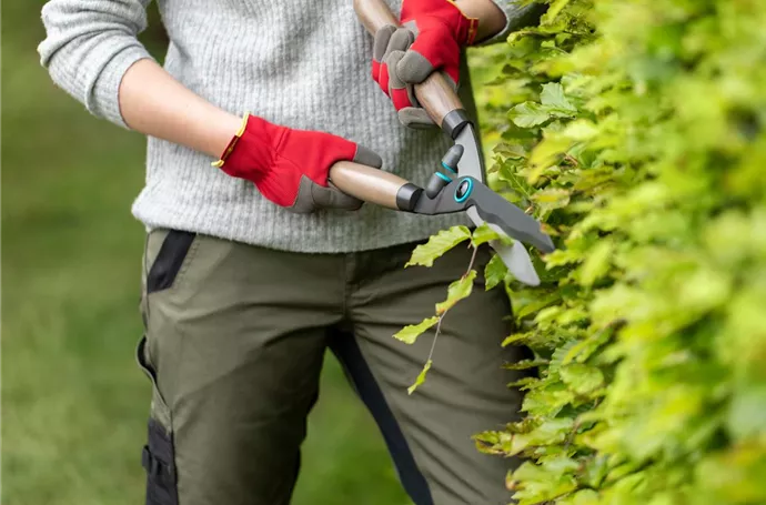 Zubehör-Heckenscheren kaufen und die Gartenarbeit wird zum Kinderspiel