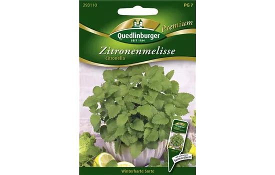 Zitronenmelissensamen 'Citronella'