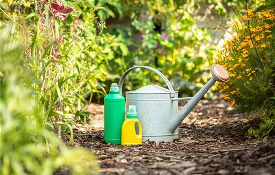 Pflanzen düngen für reiche Ernte und Blütenpracht