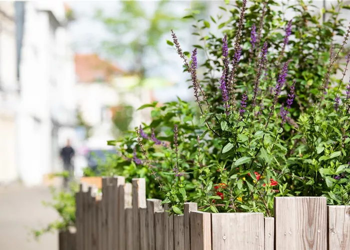 Urban Gardening – selbst in der Stadt ist Platz zum Gärtnern