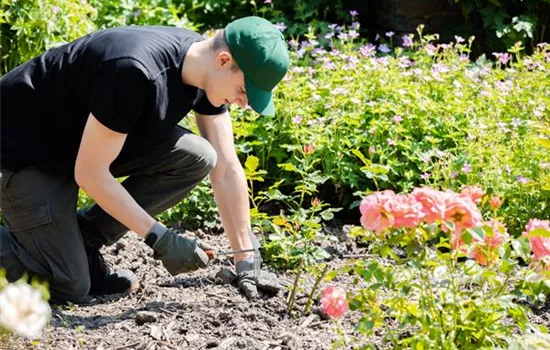 Die Grundausstattung fürs Gärtnern für Garten-Neulinge