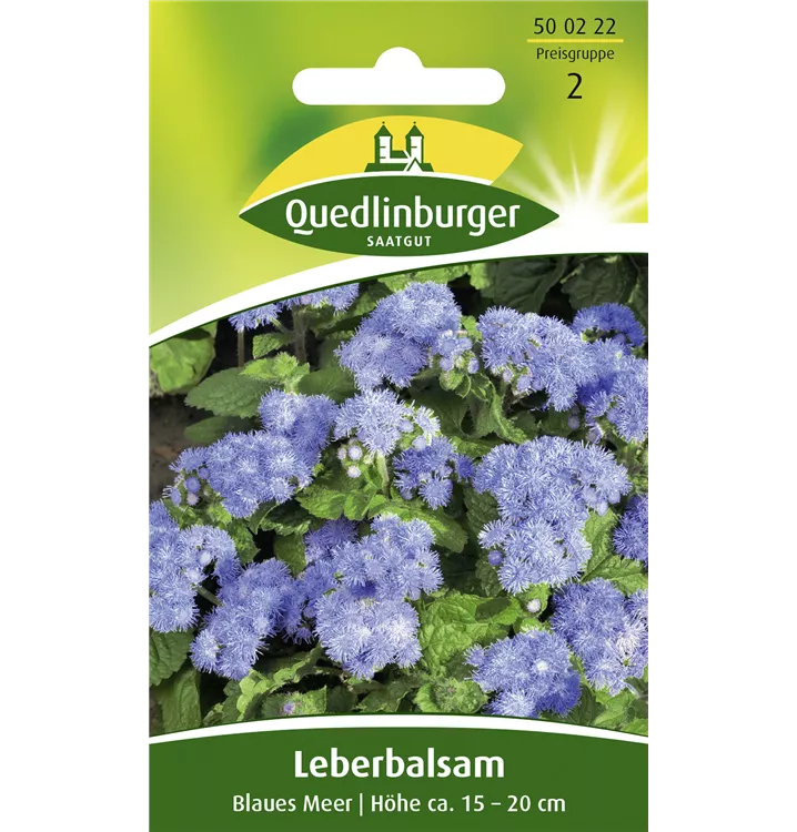 Ageratum houstonianum 'Blaues Meer'