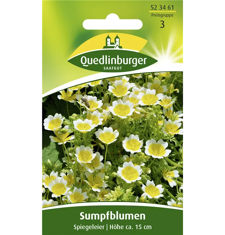 Limnanthes douglasii 'Spiegeleier'