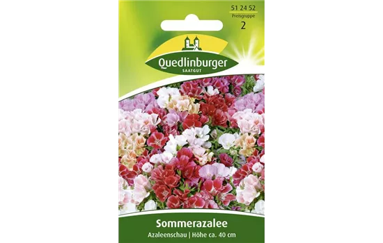 Sommerazaleensamen 'Azaleenschau'