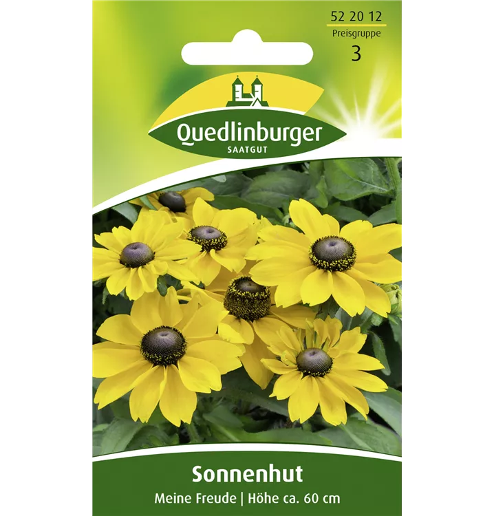 Rudbeckia hirta 'Meine Freunde'