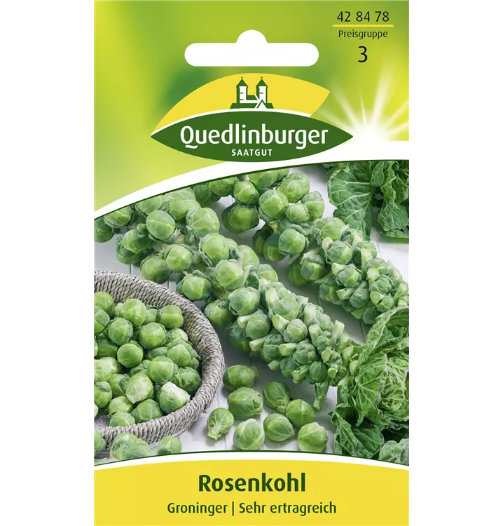 Brassica oleracea var. gemmifera 'Groninger'