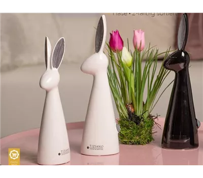 Hase Alvina creme-weiß mit Decal schwarz-weiß